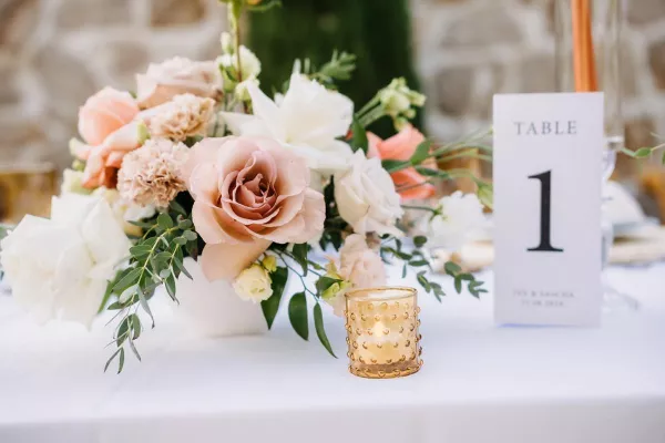 Iva & Sascha's Rustic Wedding in rural Dalmatia