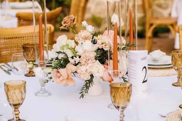 Iva & Sascha's Rustic Wedding in rural Dalmatia