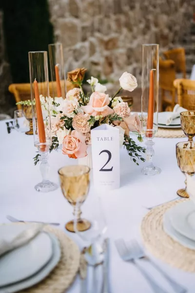 Iva & Sascha's Rustic Wedding in rural Dalmatia