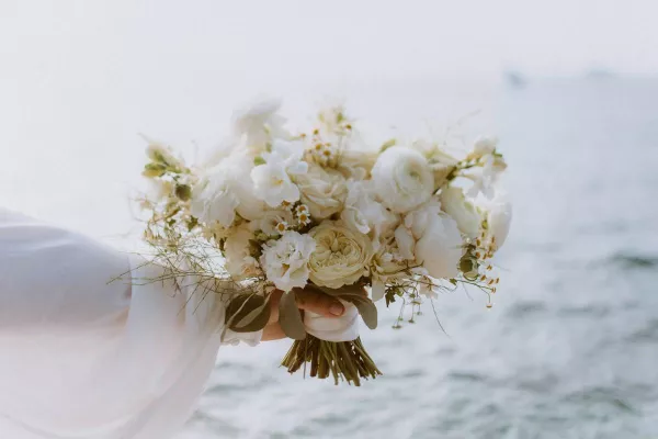 Rustic Romance near Rovinj