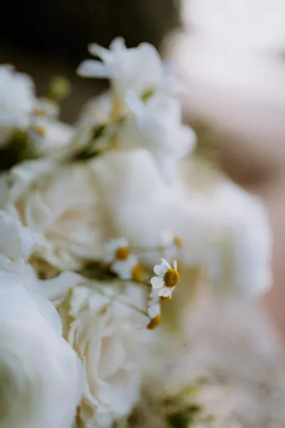 Rustic Romance near Rovinj