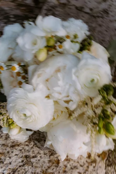 Rustic Romance near Rovinj