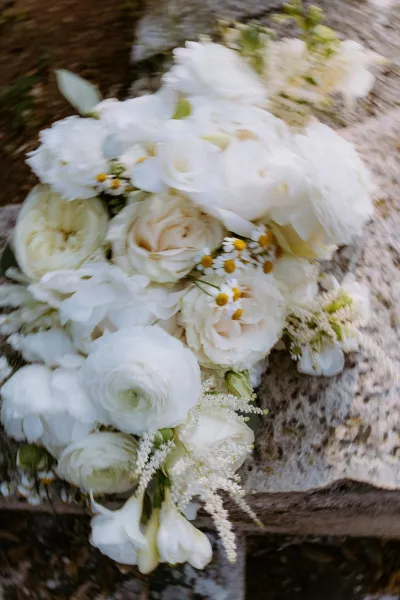Rustic Romance near Rovinj