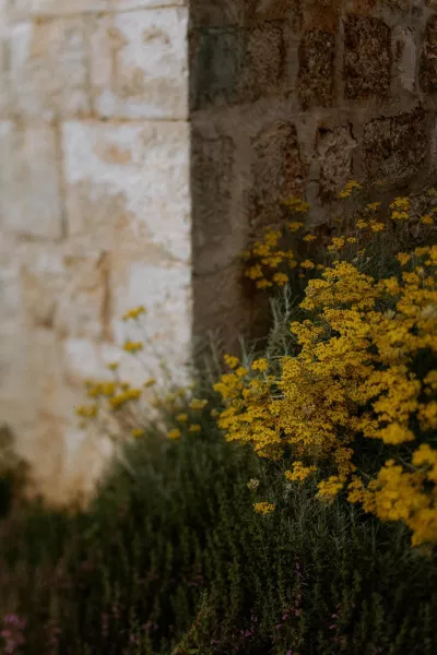 Rustic Romance near Rovinj