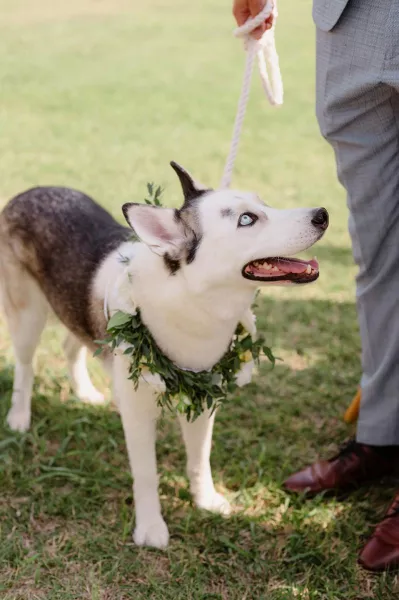 Bright Elegance at Villa Emilio