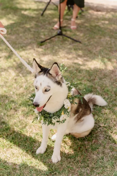 Bright Elegance at Villa Emilio