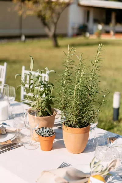 Mediterranean Charm at Villa Lanterna