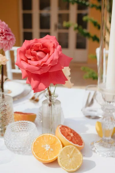 Summer Hues at Villa Dalmacija