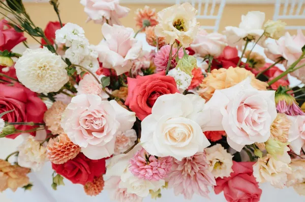 Summer Hues at Villa Dalmacija