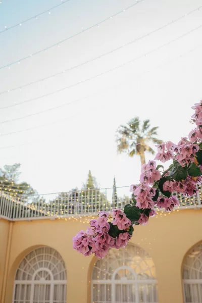 Summer Hues at Villa Dalmacija