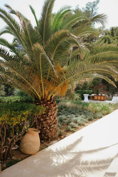 Summer Hues at Villa Dalmacija