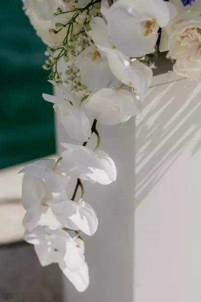 Blue & White Elegance at Villa Dalmacija