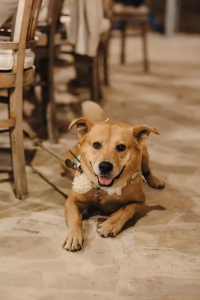 Jessica & Davor - Zadar