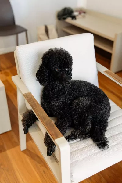 Linnea & Mario’s Seaside Wedding