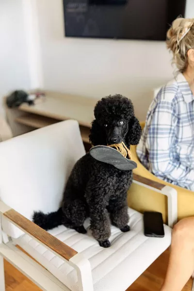 Linnea & Mario’s Seaside Wedding