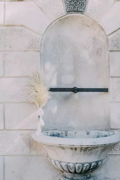 Beauty in simplicity 