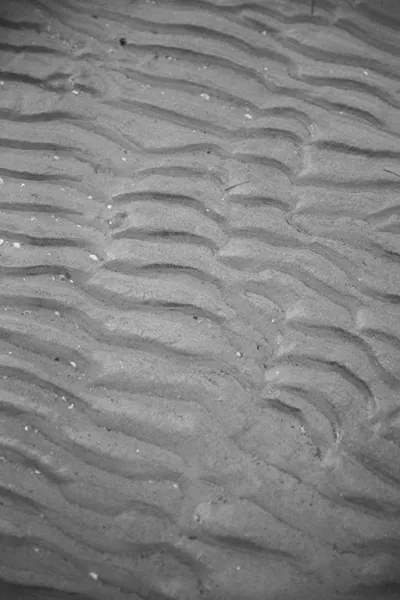 Bridal Collection 2021