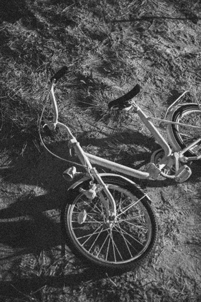 Bridal Collection 2021