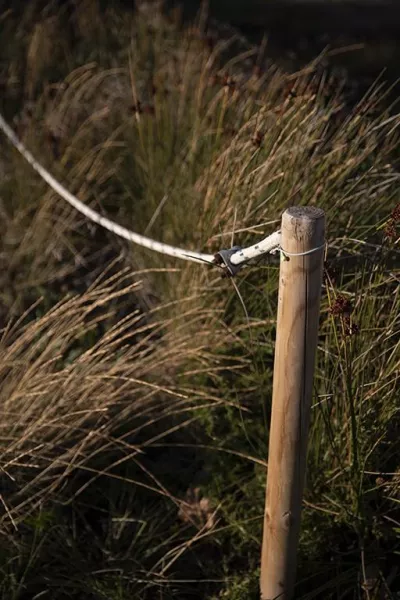 Bridal Collection 2021