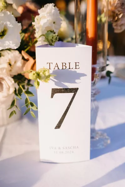 Iva & Sascha's Rustic Wedding in rural Dalmatia